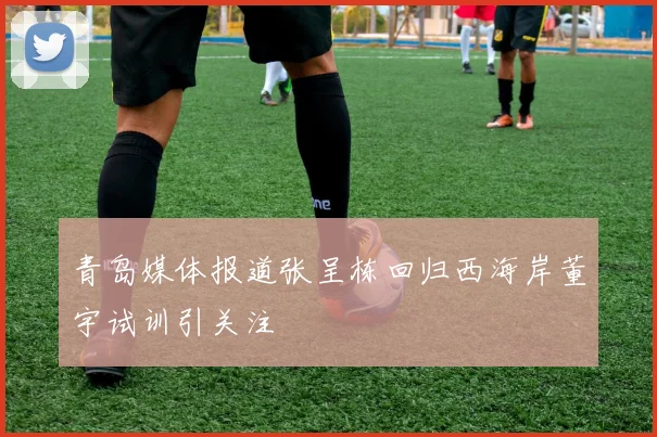 青岛媒体报道张呈栋回归西海岸董宇试训引关注
