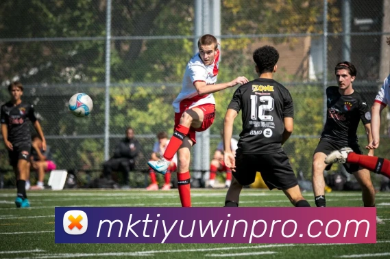 App Interface Preview