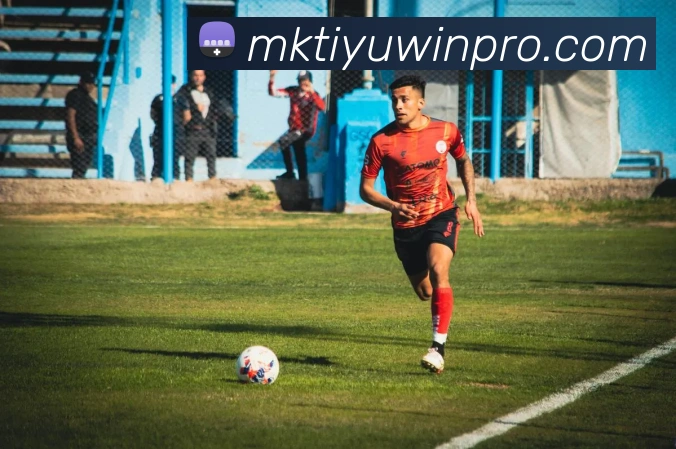 MK体育APP 封面图